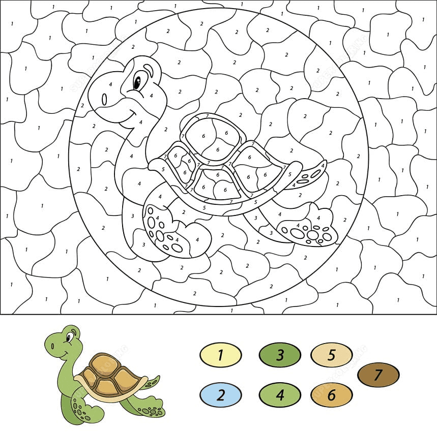 Sea Turtle Color by Number Coloring Page