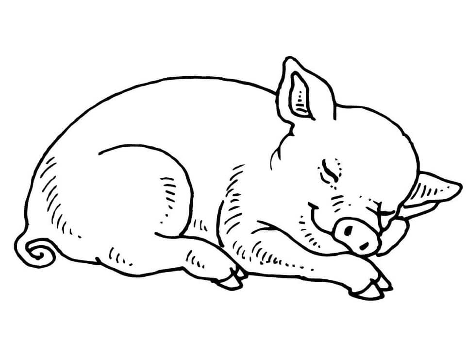 Спящий поросёнок из мультфильма «Свинья»