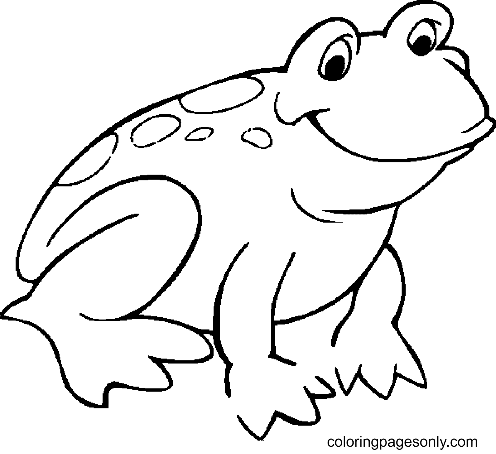 Smiling Frog Coloring Page