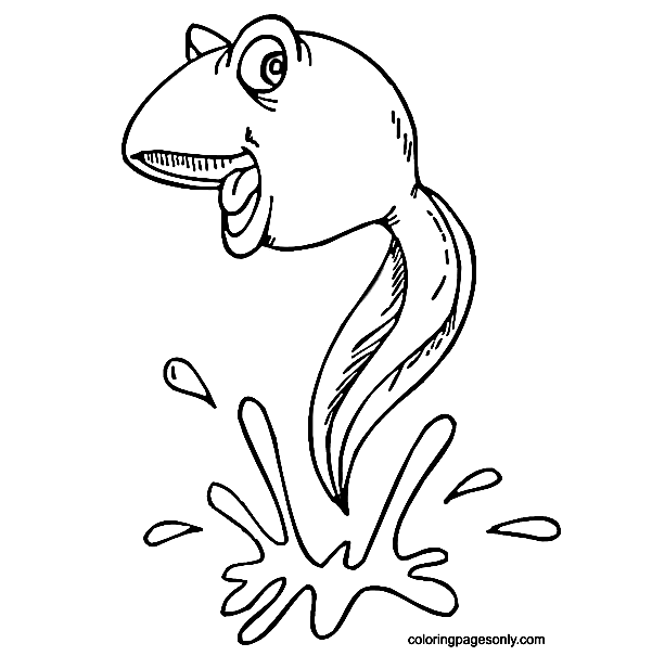 Tadpole in the Water Coloring Pages