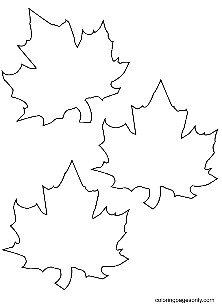 Three Fall Leaves Coloring Pages
