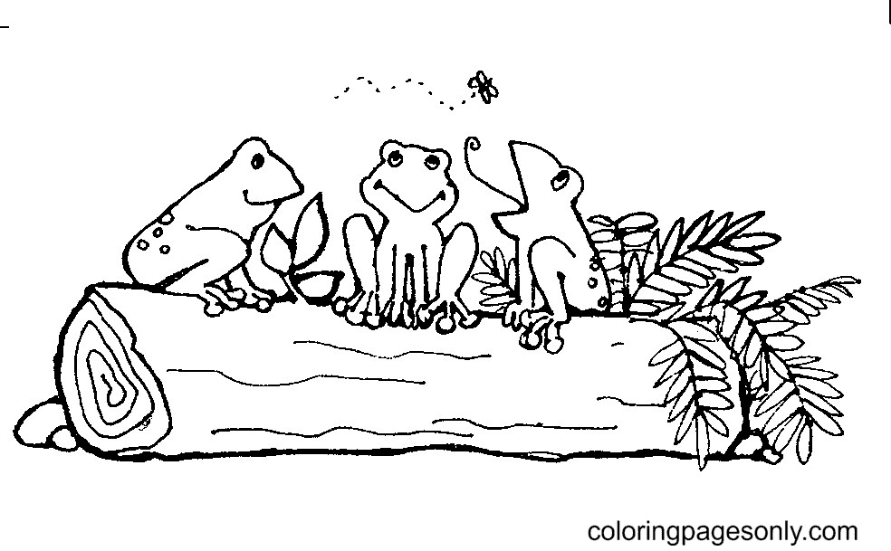 Three Frogs Sitting On a Log Coloring Page