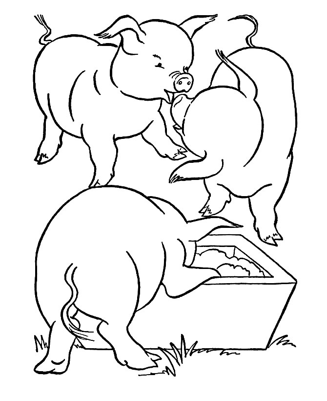 Three Pigs Coloring Page