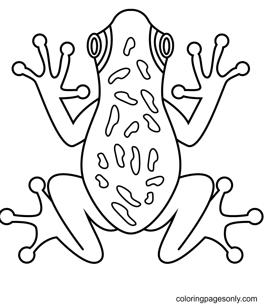 Laubfrosch von Frog