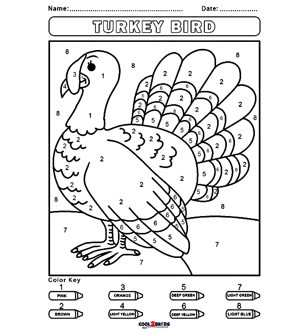 Turkey Bird Color by Number Coloring Pages