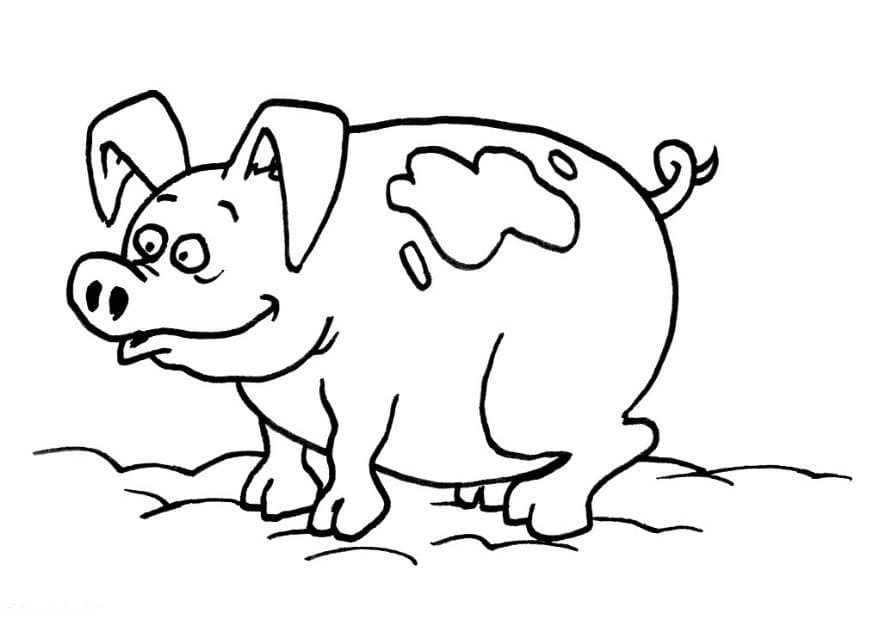 Ugly Pig Coloring Page