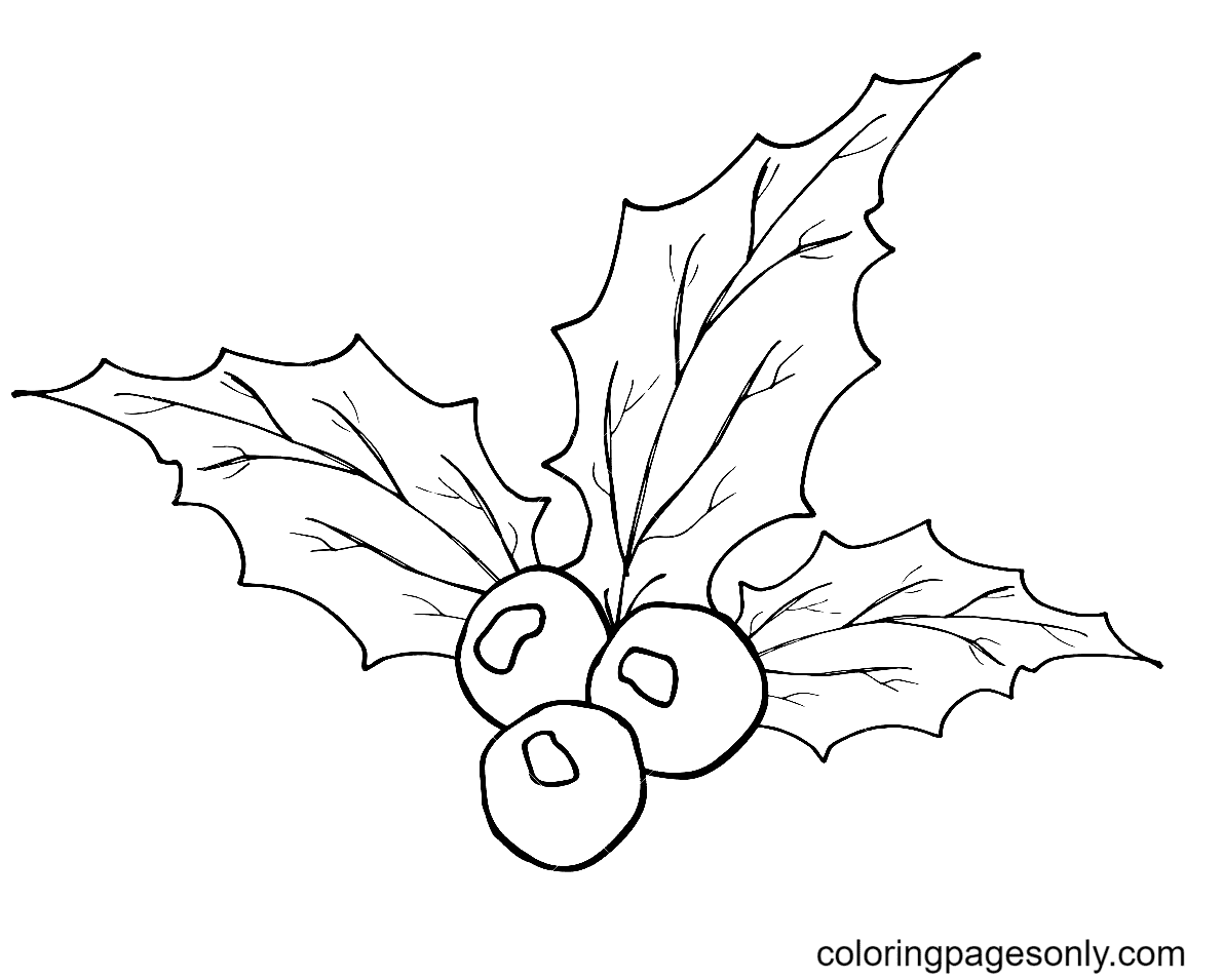 Xmas Holly Leaves And Berries Coloring Page