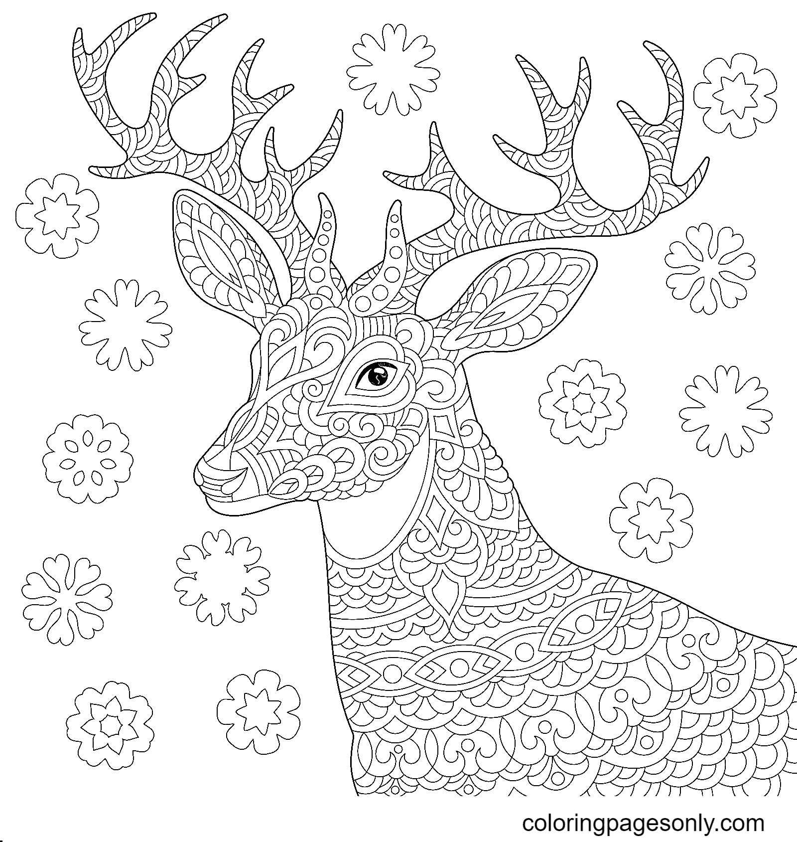 Zentangle Reindeer Coloring Pages