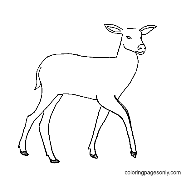 a deer coloring pages deer coloring pages coloring pages for kids and adults