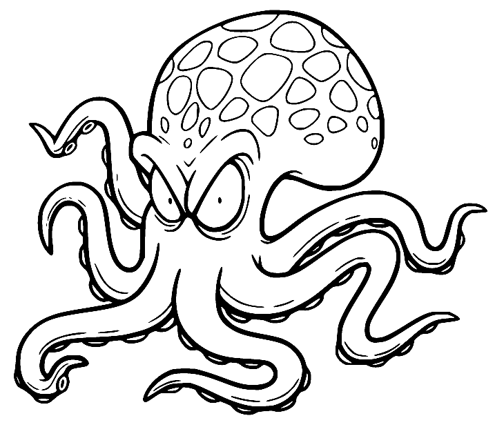 Atlantische Pygmee Octopus Kleurplaat