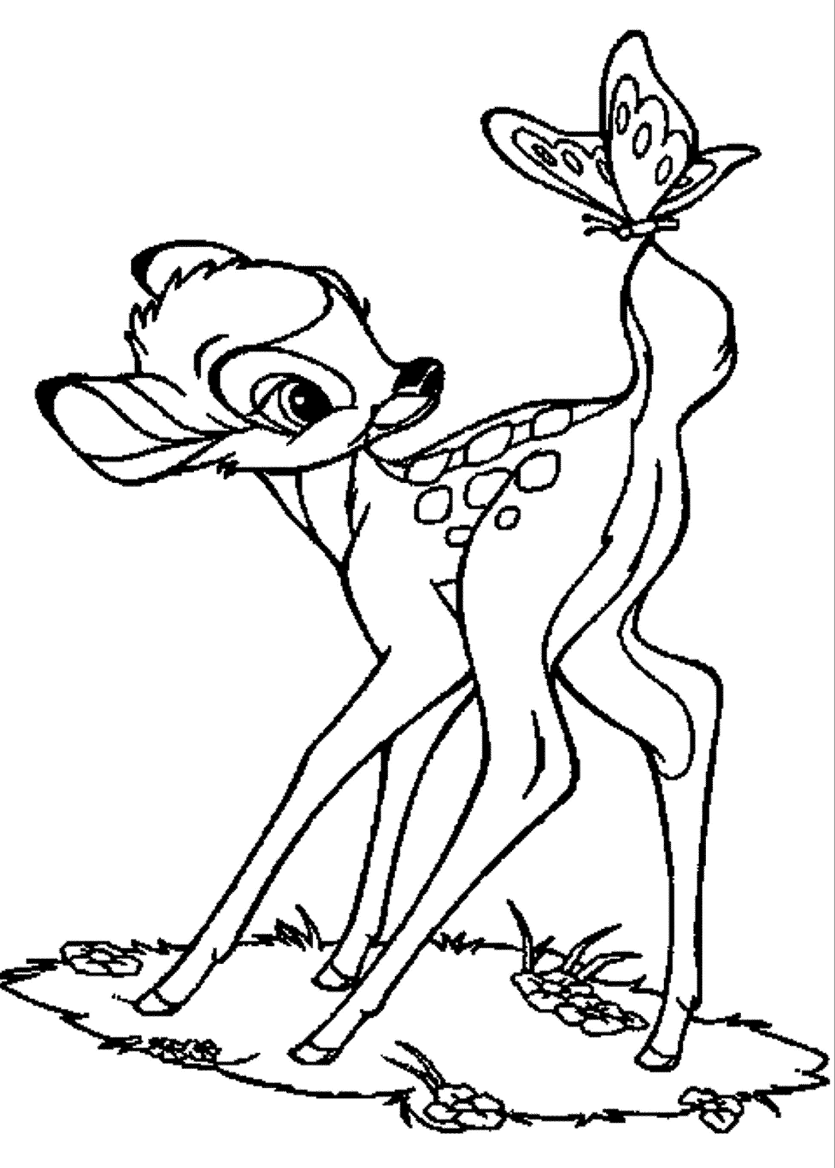 Baby Deer with Butterfly Coloring Pages