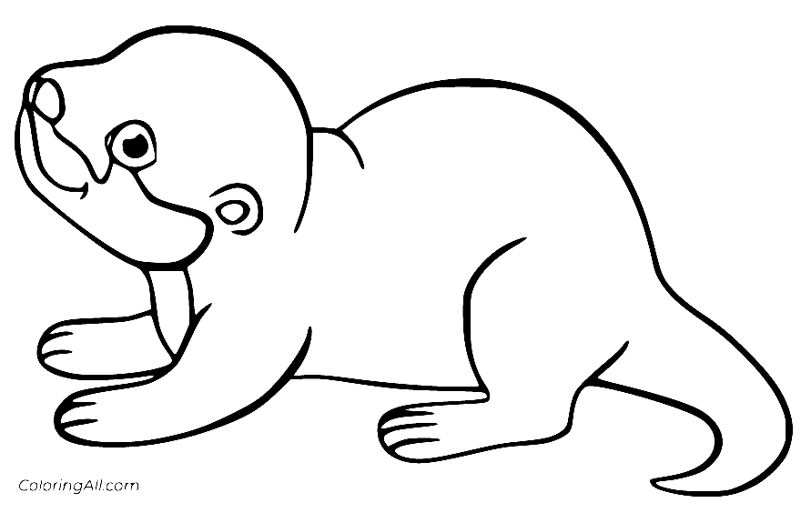 Baby Otter Walking Coloring Page