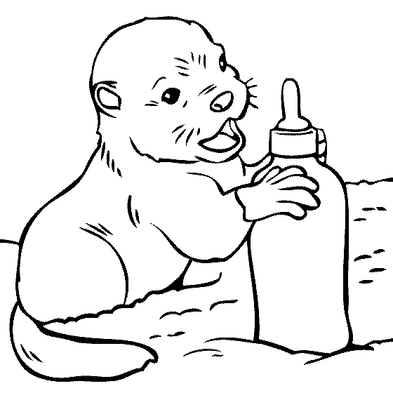 Cucciolo di lontra con biberon di Otter