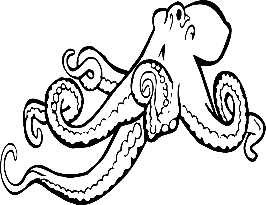 Grosse pieuvre de Octopus