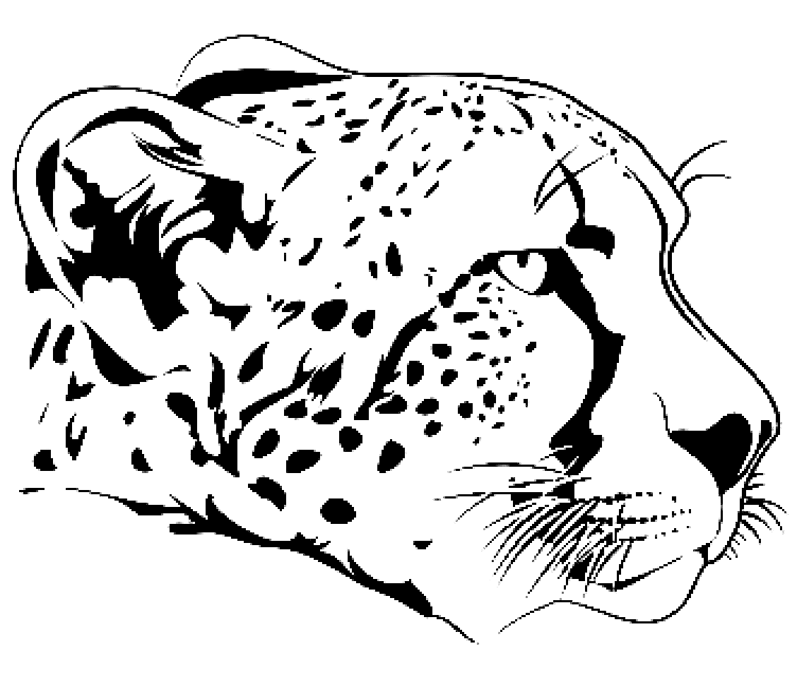 Cheetah Head Coloring Page