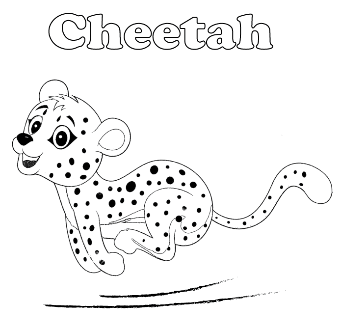 Gepard springt von Cheetah