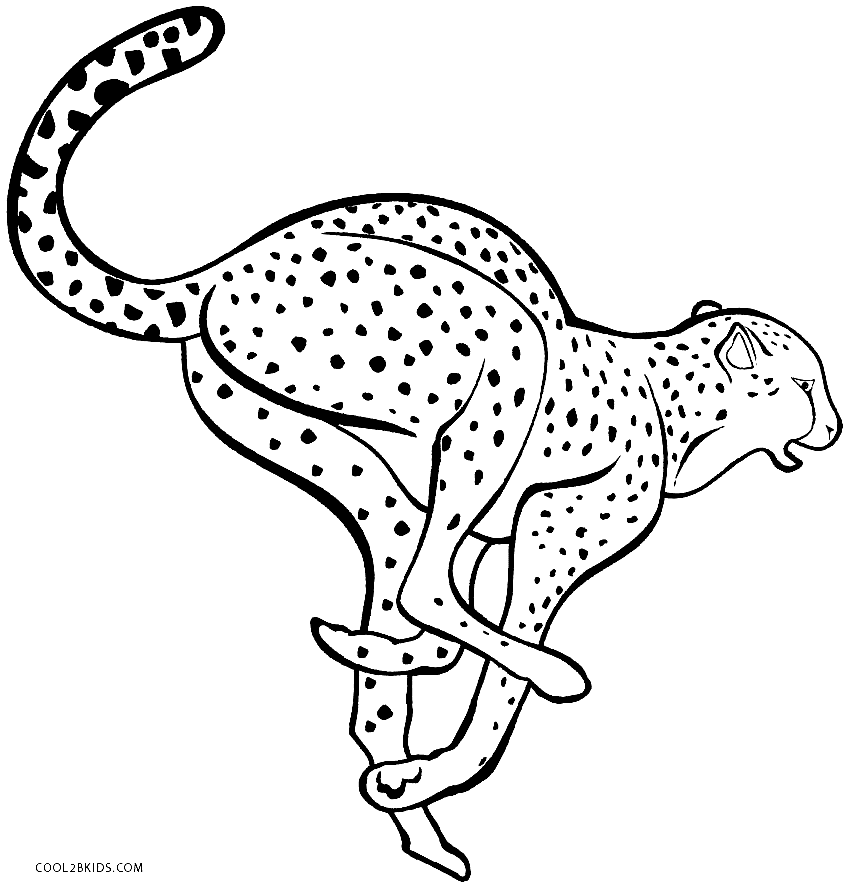 Cheetah jump Coloring Pages