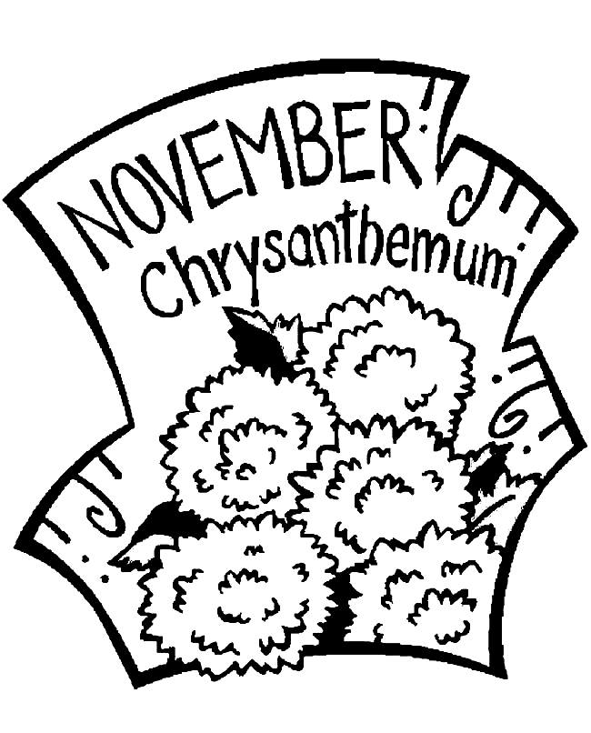 Chrysanthèmes pour novembre à partir de novembre