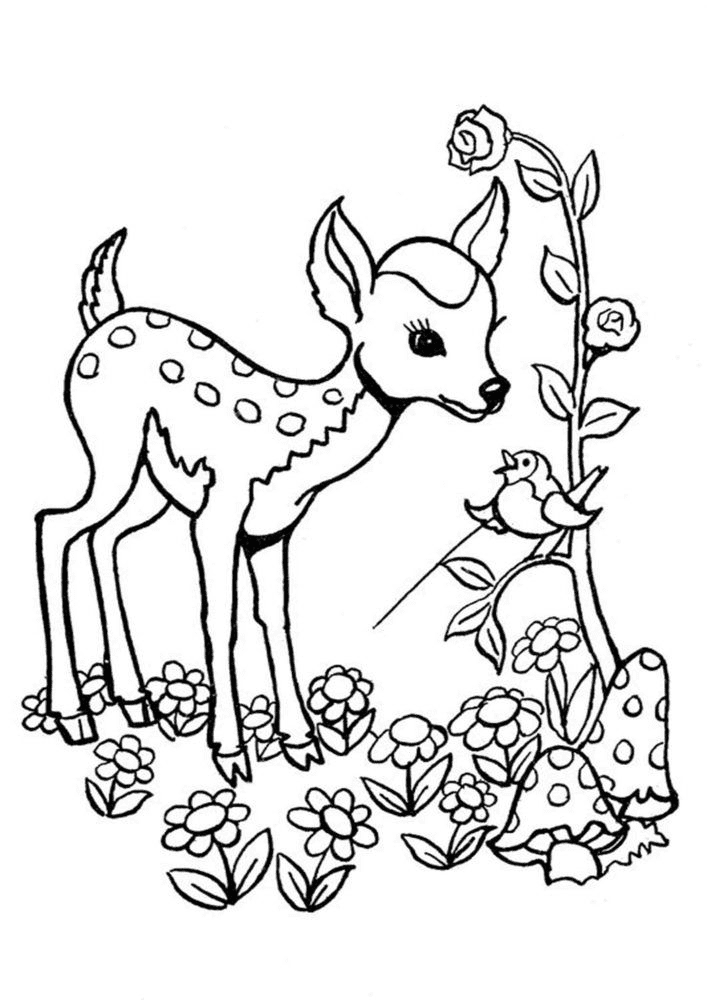Cute Deer with Bird Coloring Page