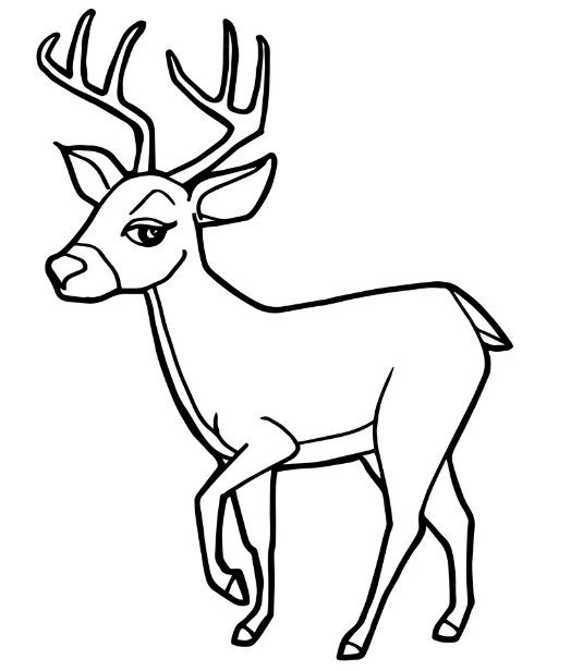 Cute Deer Coloring Page