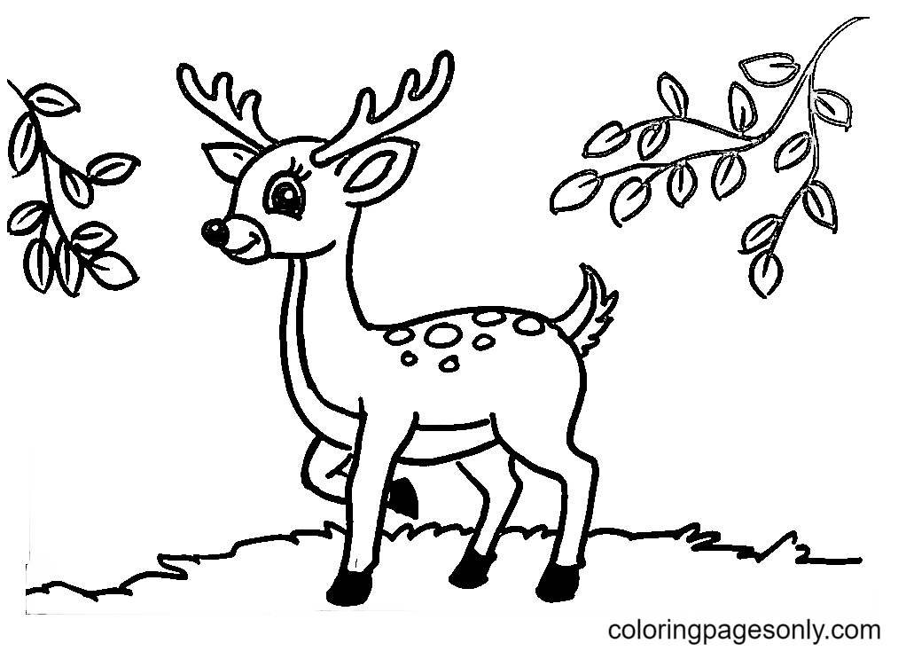 Cute Little Deer Coloring Pages Deer Coloring Pages Coloring Pages For Kids And Adults