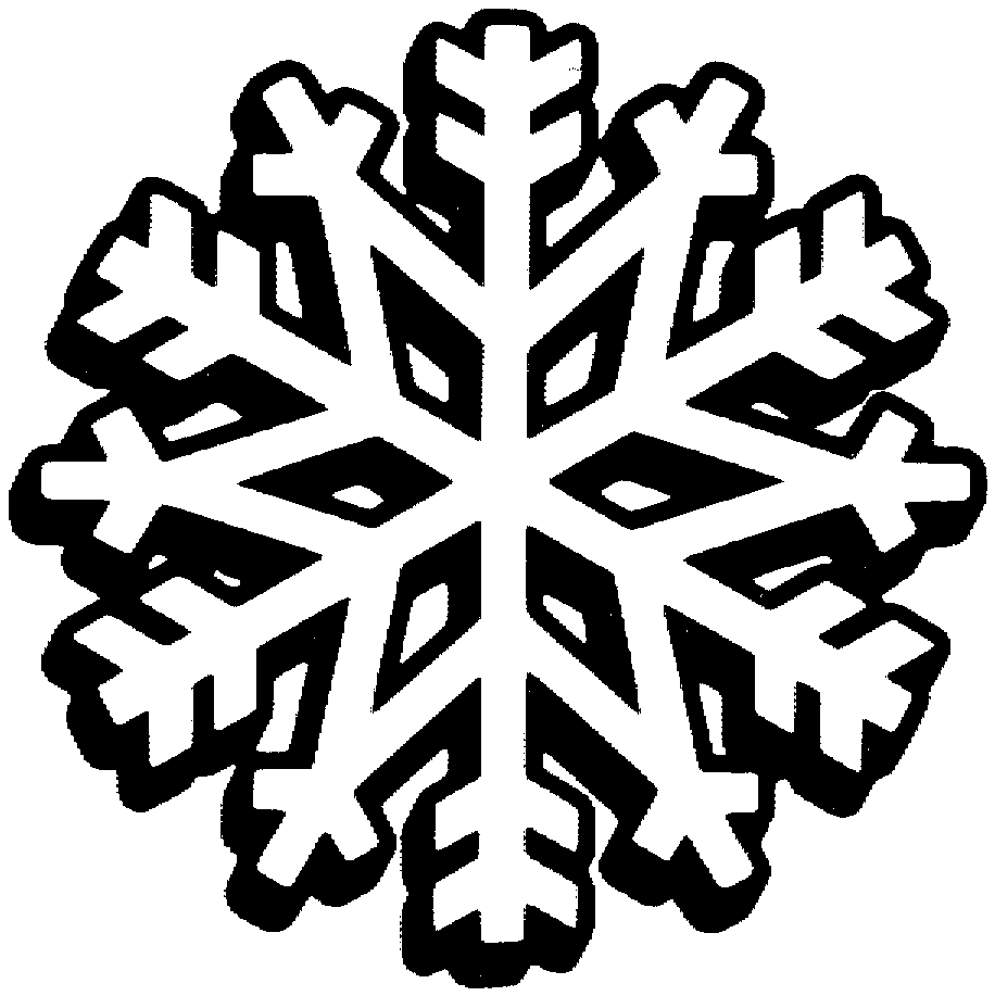 Lindo copo de nieve de Snowflake