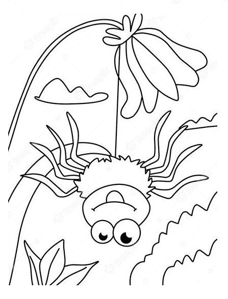 Cute Spider Printable Coloring Pages