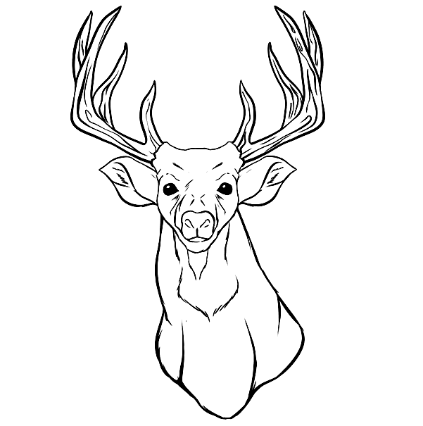 Deer Head Coloring Page
