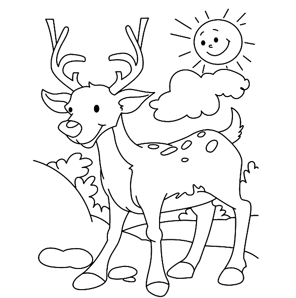 Deer in the Sun Coloring Pages