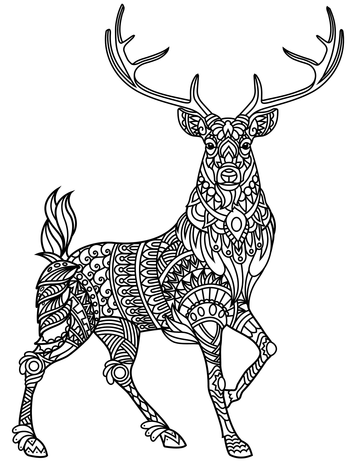 Cervo Zentangle from Deer
