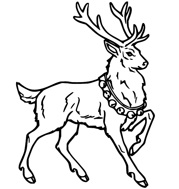 Hirsch mit Glocke von Deer