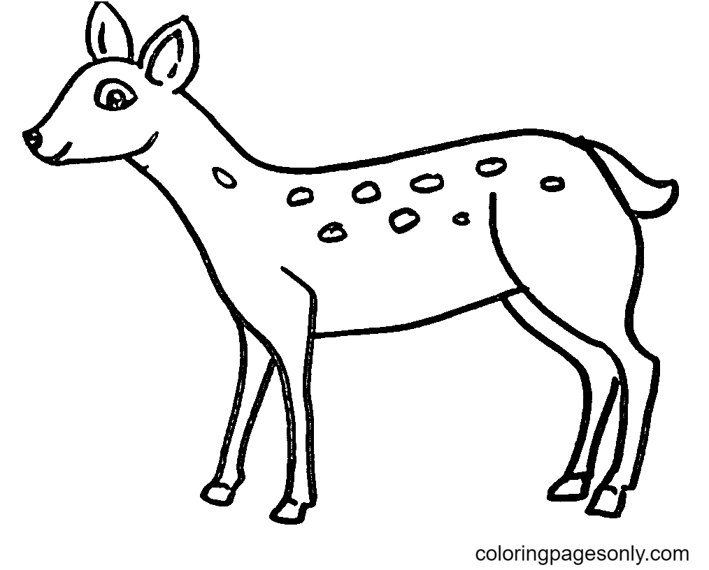 Easy Deer Coloring Pages Deer Coloring Pages Coloring Pages For 