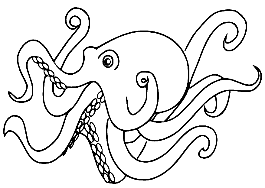 Gratis afdrukbare Octopus kleurplaat