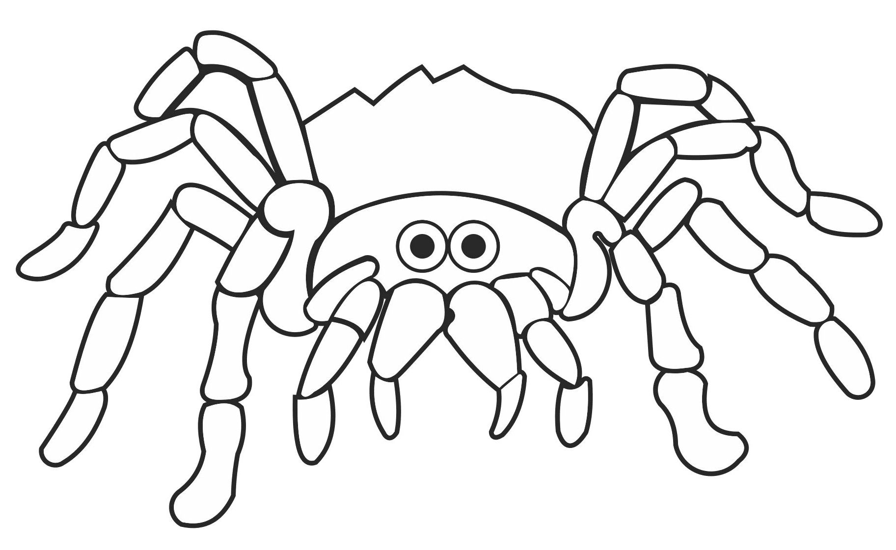Free Spider Coloring Page
