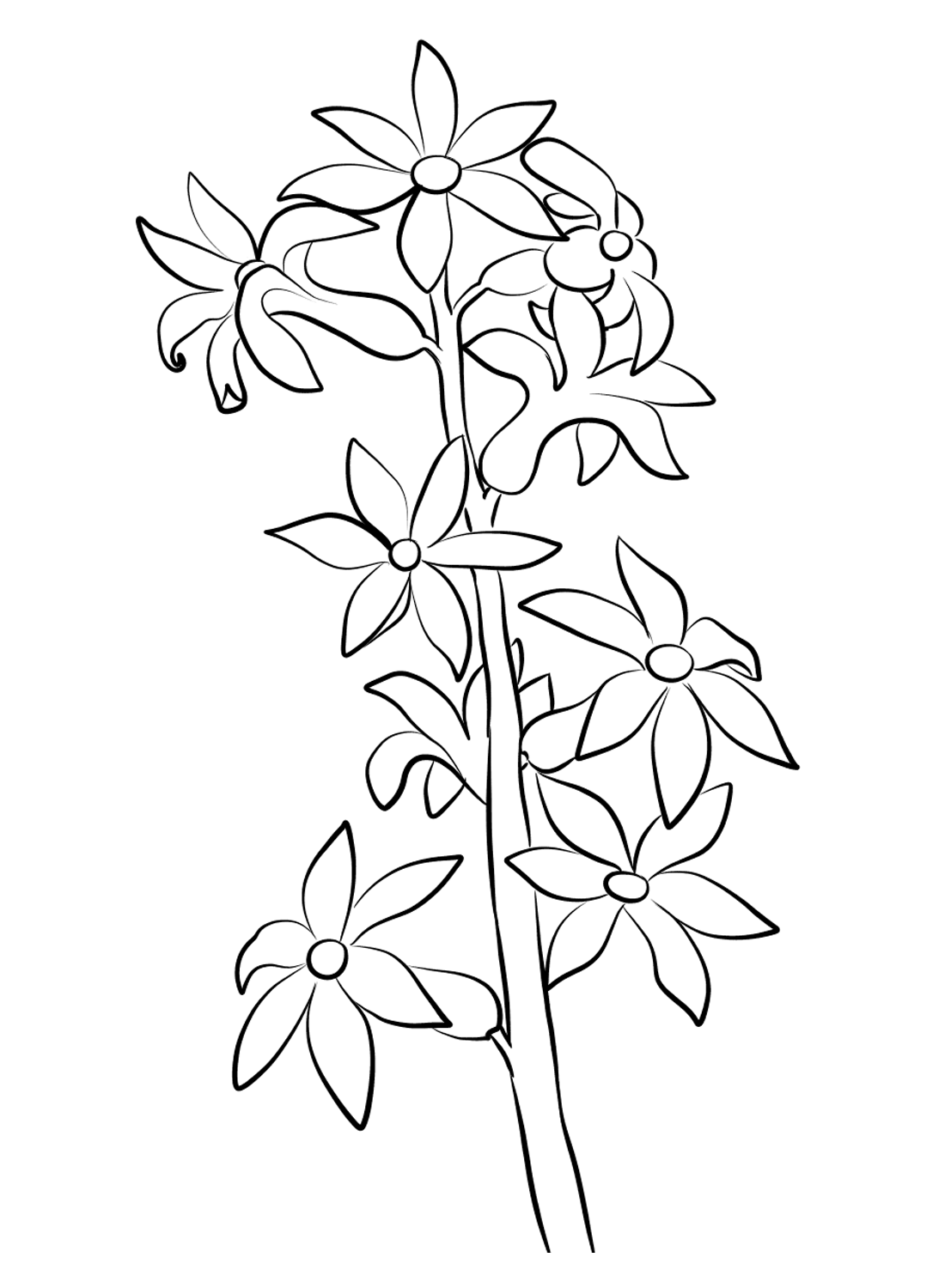 Hyacinthus-For-Kids Coloring Page