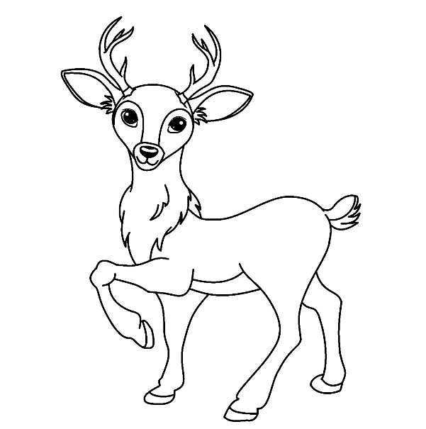 Little Deer Coloring Page