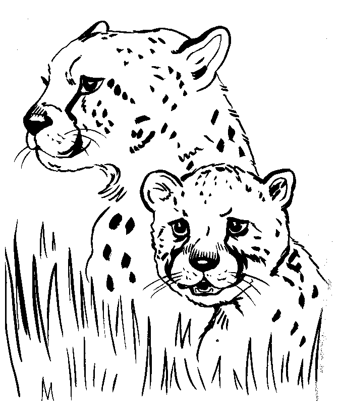 Mom Cheetah and Baby Cheetah Coloring Pages