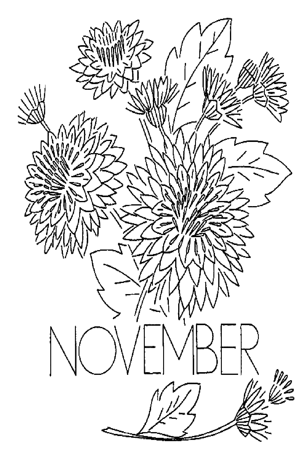 November Chrysanthemum Flower Coloring Page