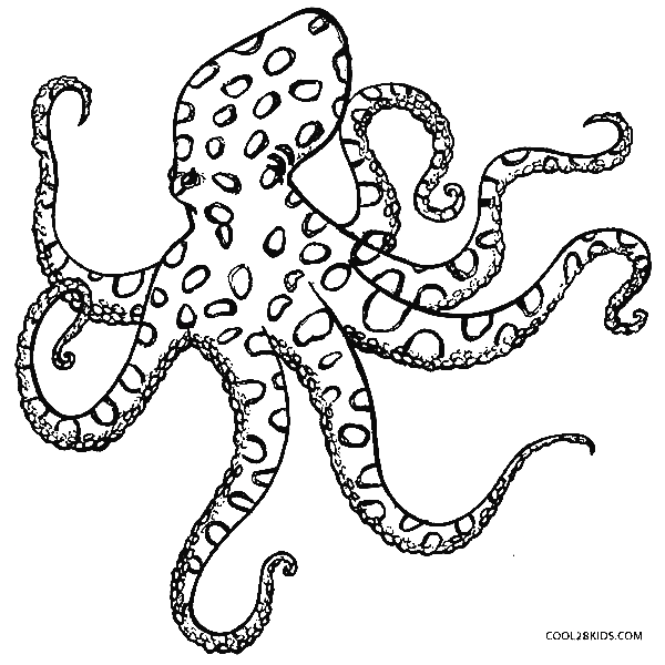 Octopus Printable Coloring Page