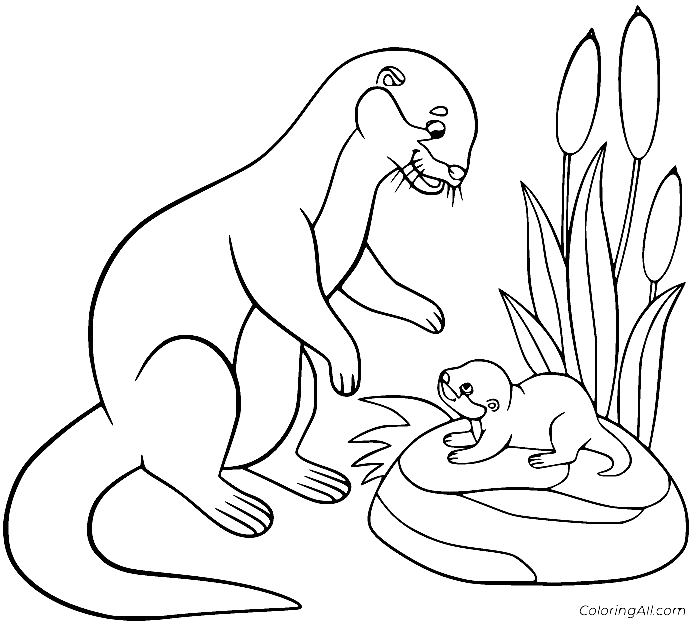 Otter and Baby Otter Coloring Page