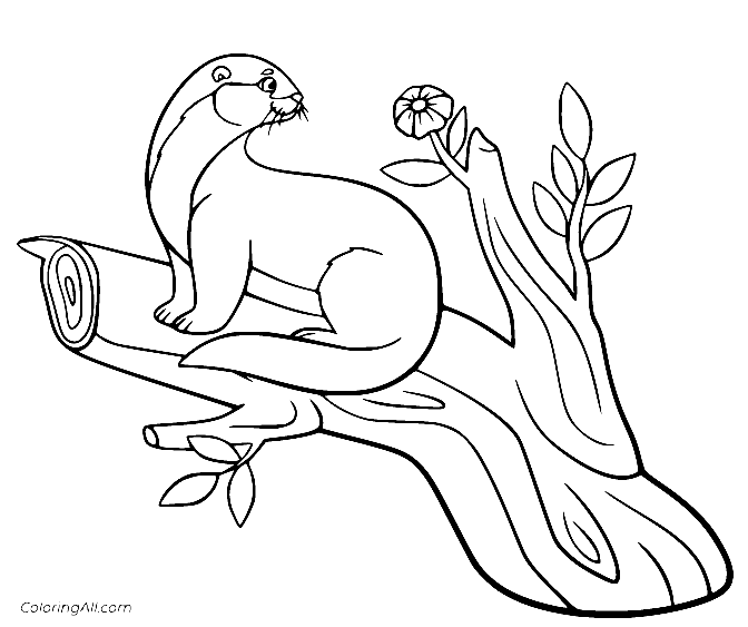 Nutria en el árbol de Otter