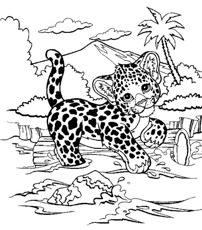 Printable Baby Cheetah Coloring Page