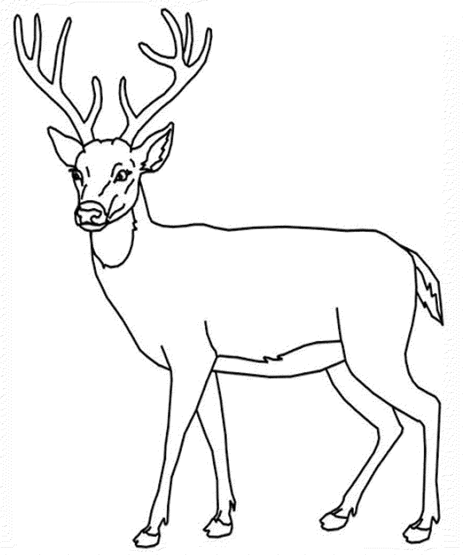 Printable Deer Free Coloring Pages