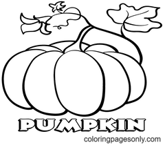 Mushroom Coloring Pages - Free Printable Coloring Pages