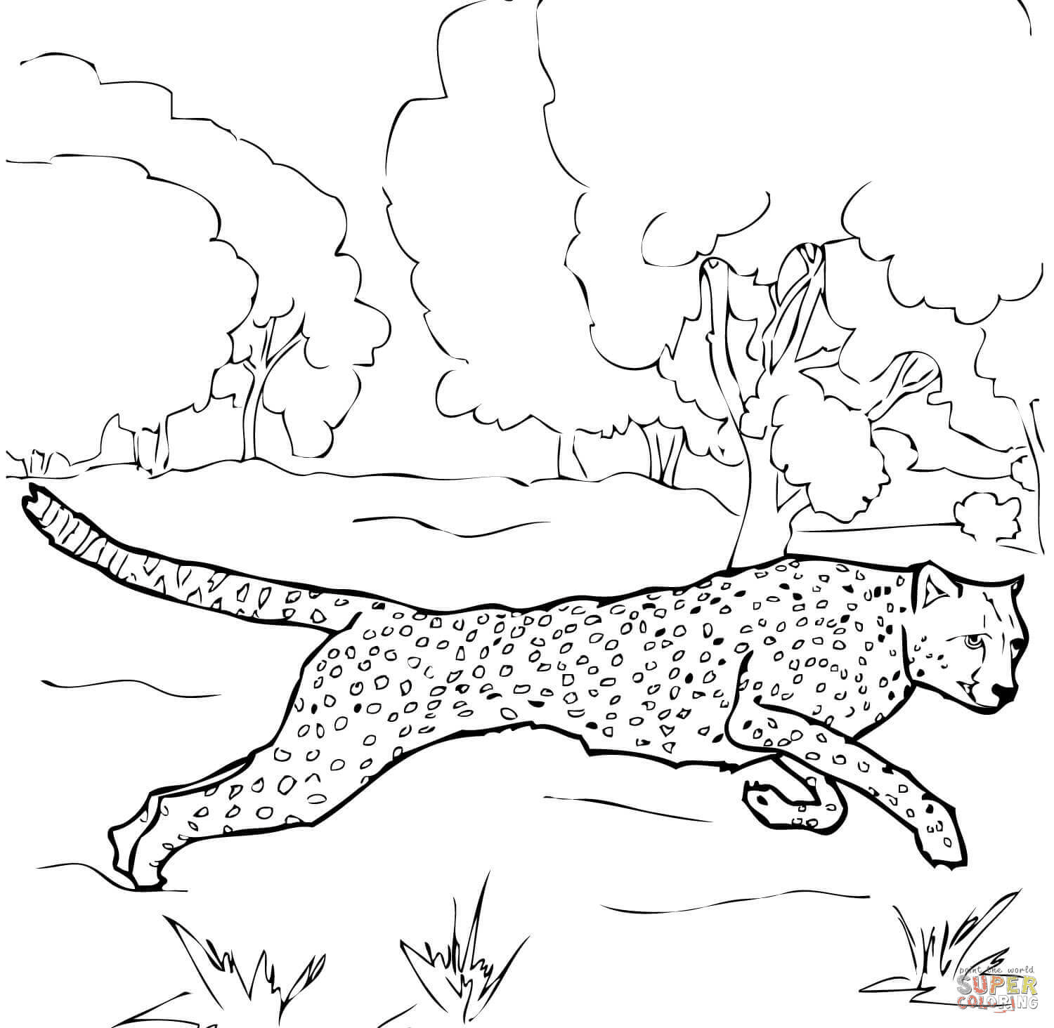 Running Cheetah Coloring Page