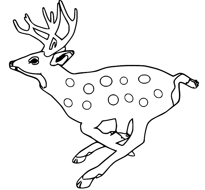 Running Deer Coloring Page