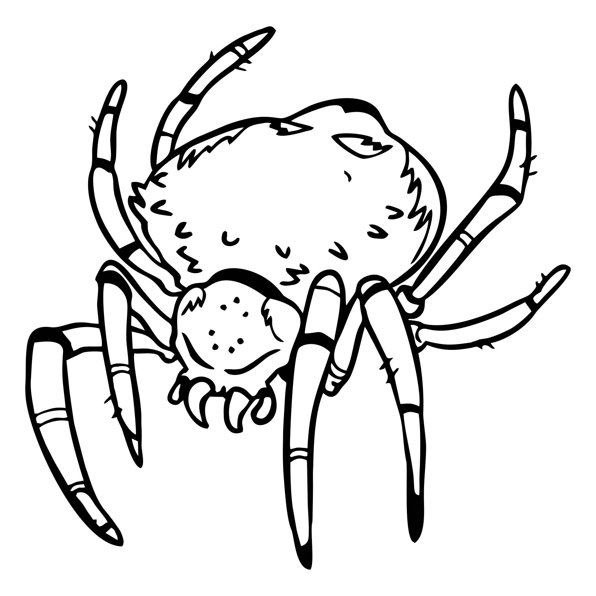 Scary Spider Coloring Page