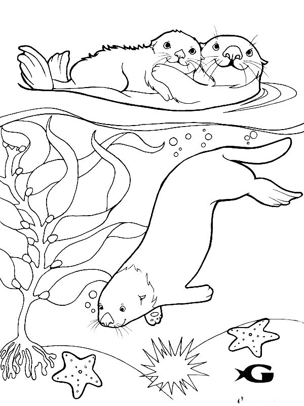 Sea Otters Coloring Page