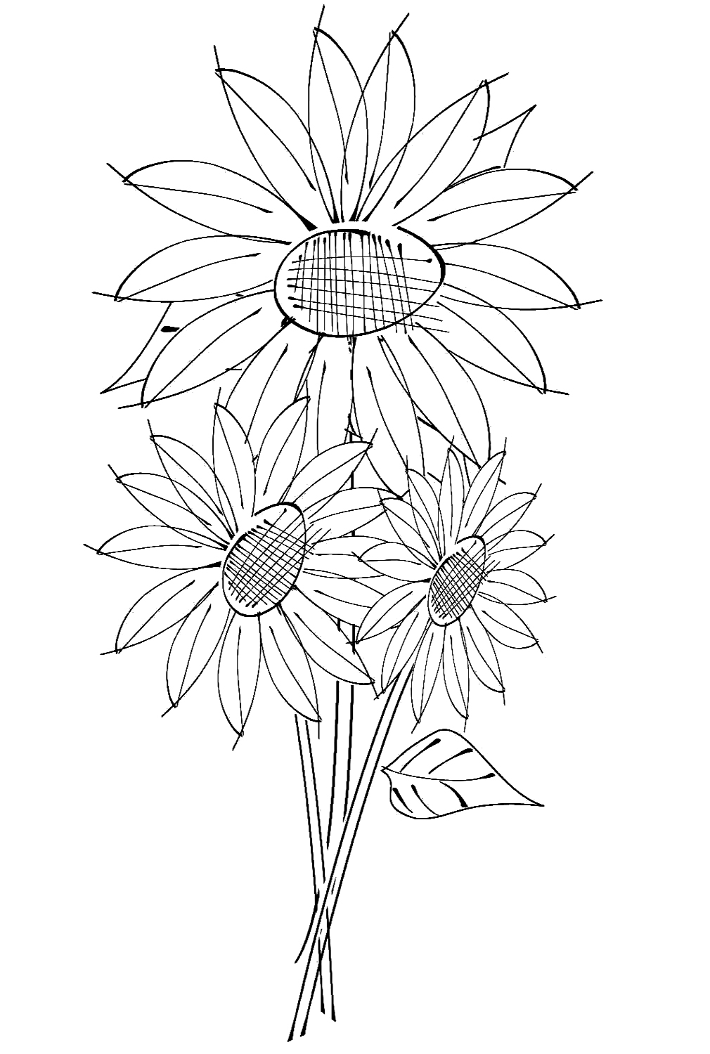 Sketch Of Sunflowers Coloring Page