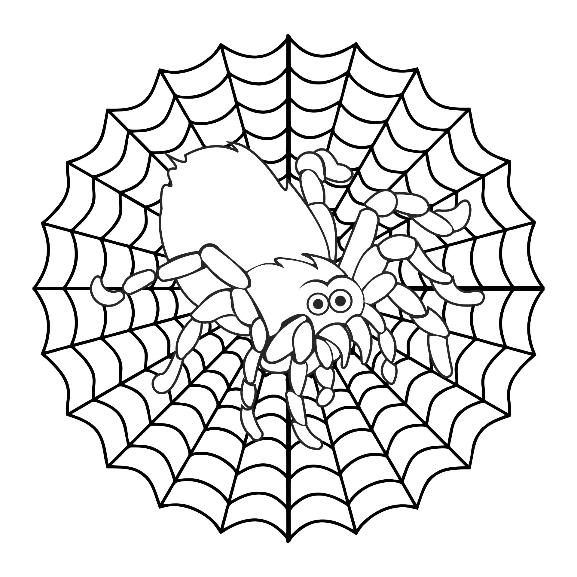 Spin afdrukbaar van Spider